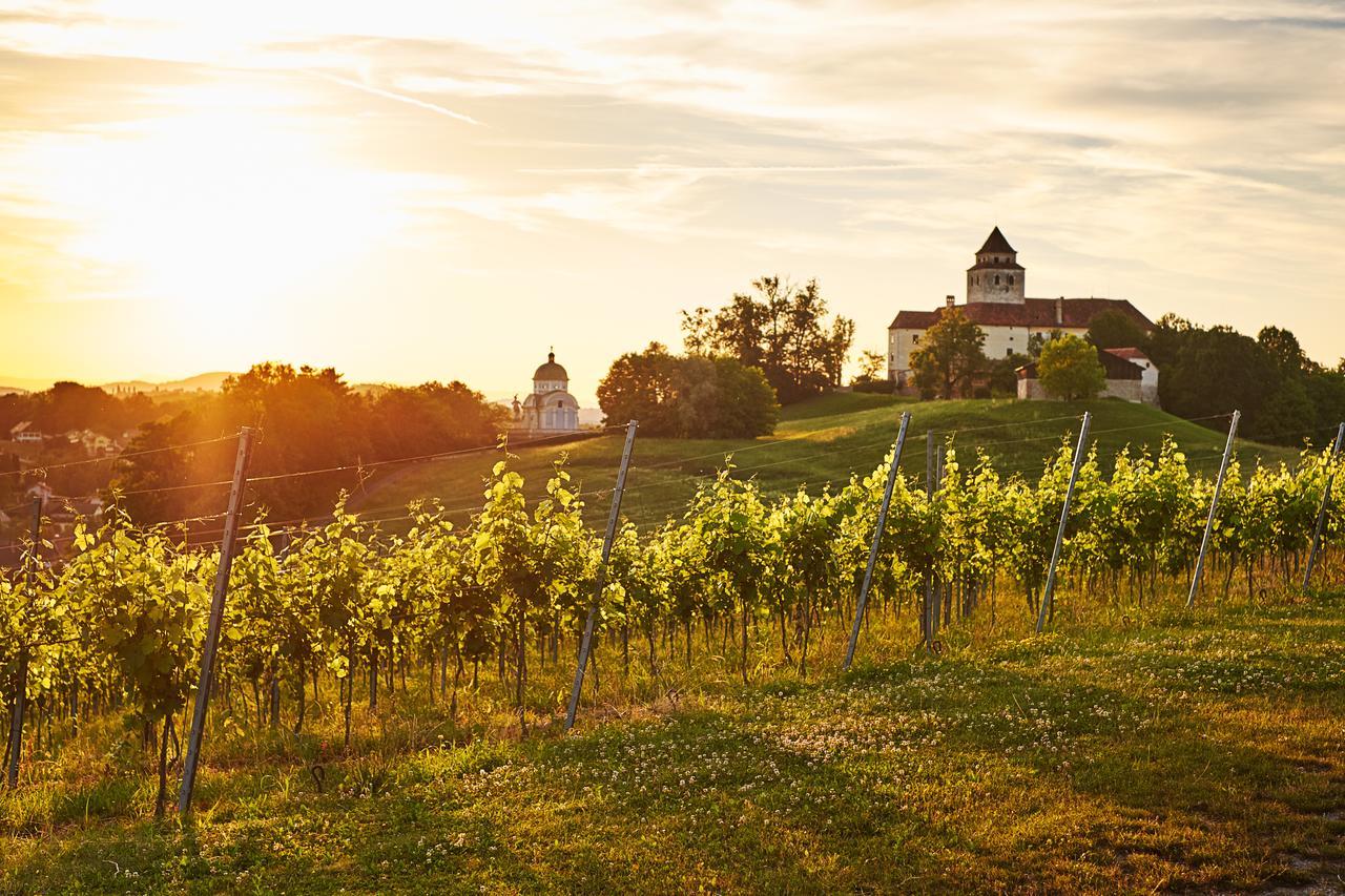 ארנהאוזן Loisium Wine & Spa Hotel Suedsteiermark מראה חיצוני תמונה