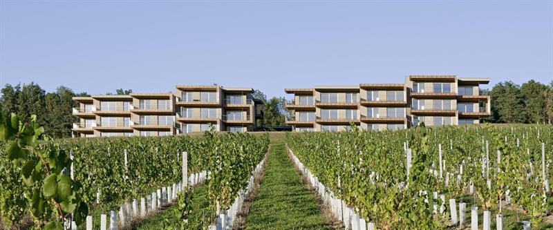 ארנהאוזן Loisium Wine & Spa Hotel Suedsteiermark מראה חיצוני תמונה